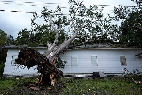 Hurricane Beryl: A tree rests on Bethel Church